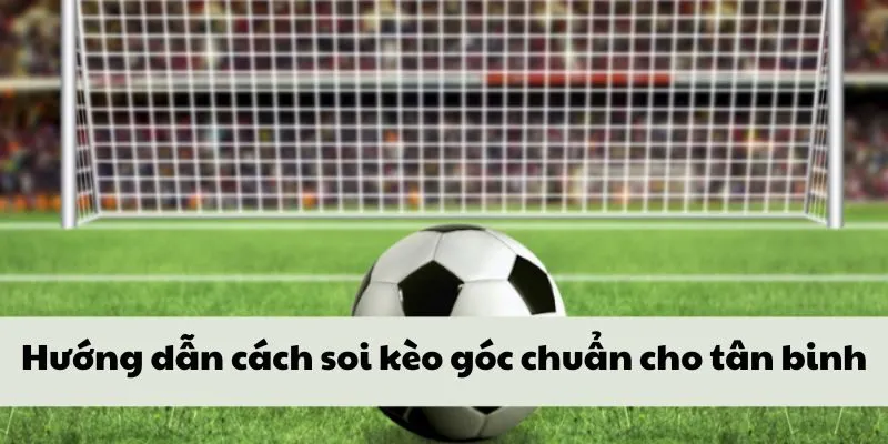 Hướng dẫn cách soi kèo góc chuẩn cho tân binh