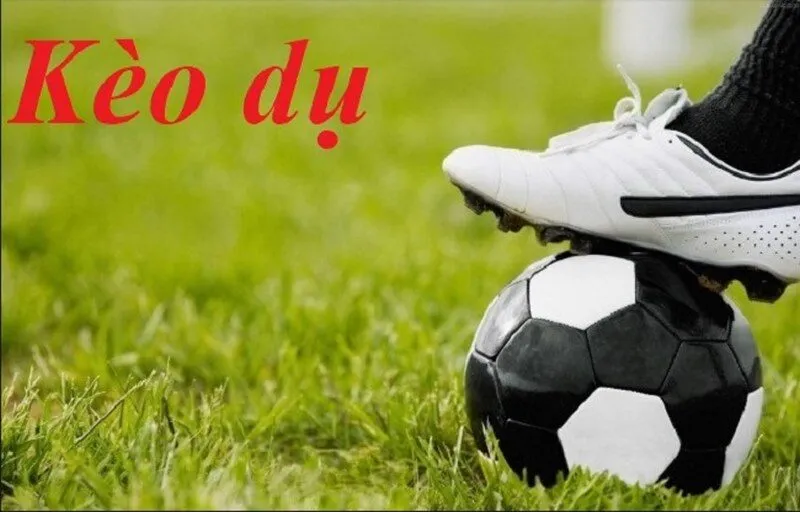 Lưu ý đến những thông số đặc trưng trong kèo dụ nhà cái
