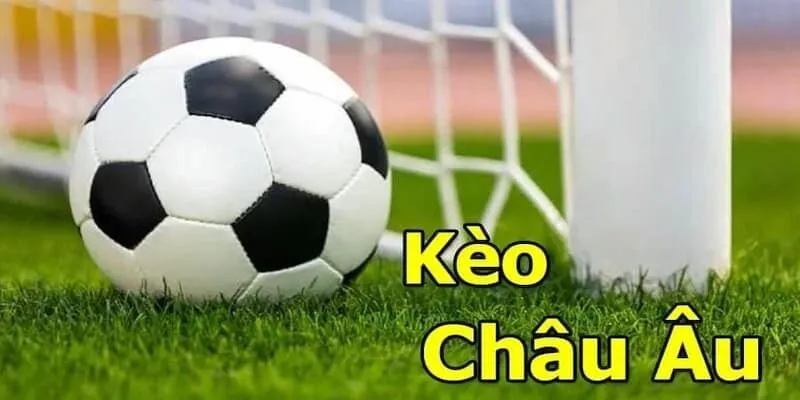 Bí kíp tính kèo bóng đá Châu Âu cho lính cược mới