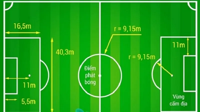 Để mở sân bóng đá mini cần bao nhiêu tiền luôn là được quan  tâm 